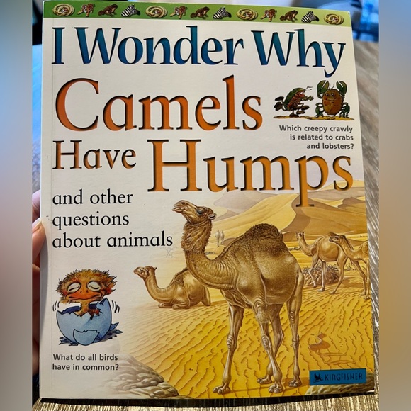 Set of 5 “I Wonder Why” Children’s Books from 2003 & 2004, Kingfisher. - Picture 2 of 10